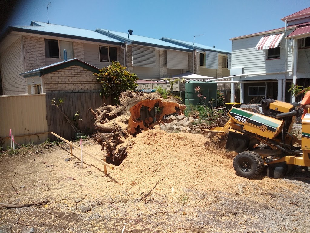 Mr Chomp tree lopping | general contractor | 170 Archer St, Gumdale QLD 4154, Australia | 0408459192 OR +61 408 459 192