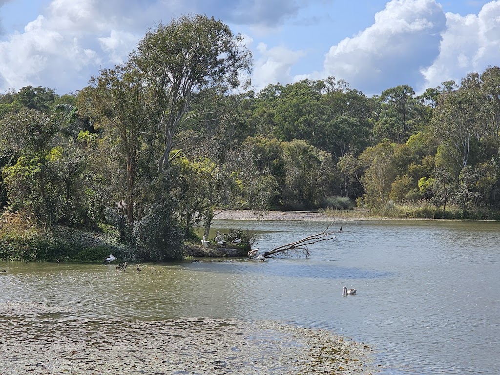 SW1 – Berrinba Wetlands | Wayne Goss Dr, Browns Plains QLD 4118, Australia | Phone: (07) 2899 7353