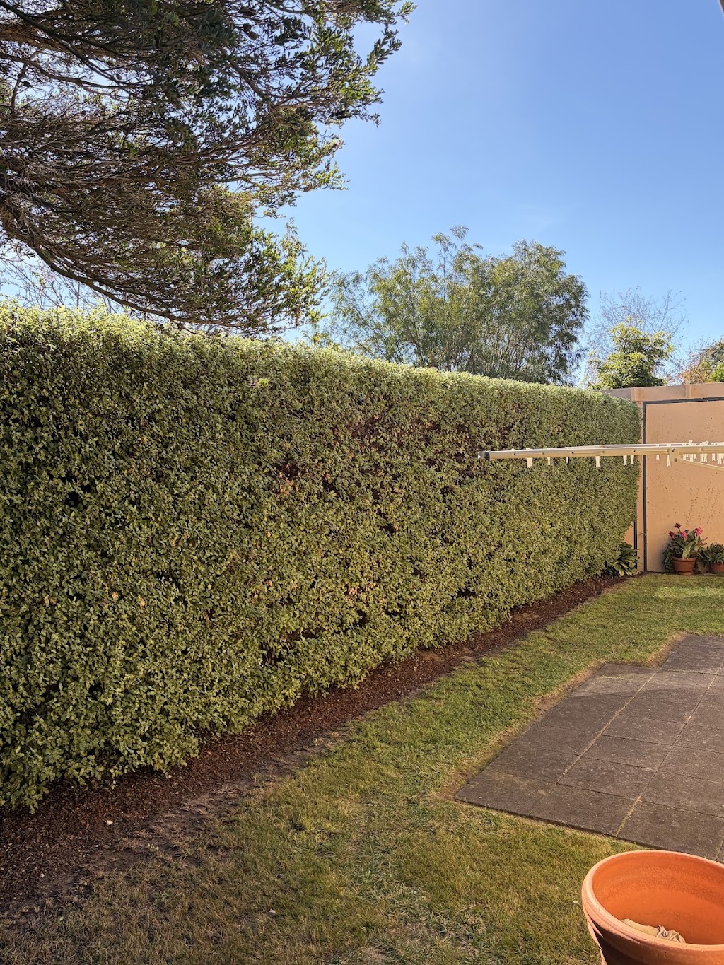 Bunyip Tree Solutions | 23 Doran Rd, Bunyip VIC 3815, Australia | Phone: 0421 286 983