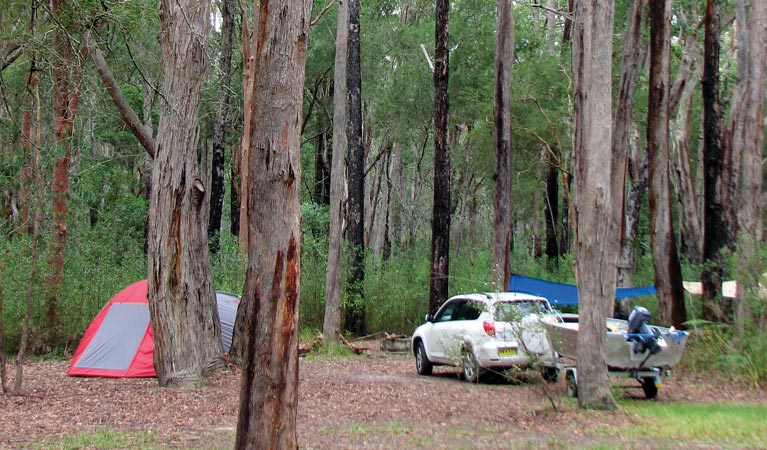 Wallingat River campground | campground | River Rd, Wallingat NSW 2428, Australia | 0265910300 OR +61 2 6591 0300