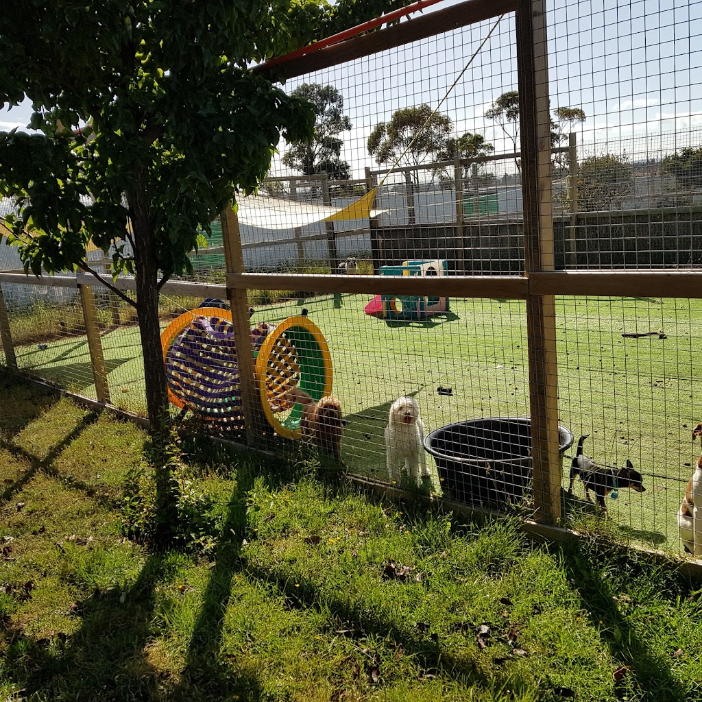 Doggos on Shelomith | 97 Shelomith Dr, Acton Park TAS 7170, Australia | Phone: 0439 984 260