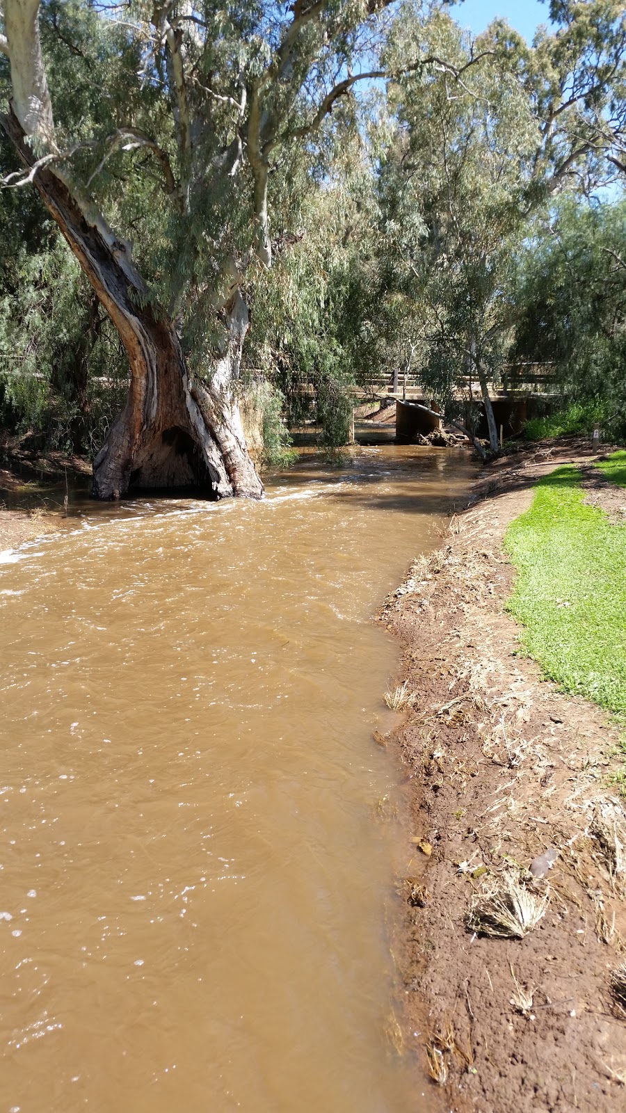 Crystal Brook Golf Club | Crystal Brook SA 5523, Australia | Phone: (08) 8636 2254