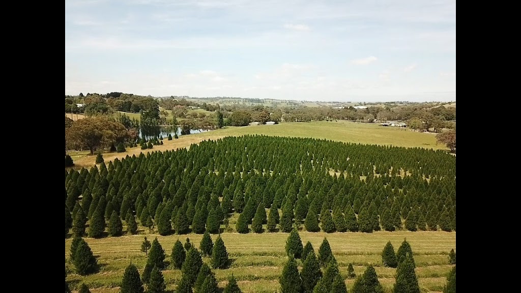 Ports Christmas Tree Farm |  | 186 Belgrave-Hallam Rd, Belgrave South VIC 3160, Australia | 0422263198 OR +61 422 263 198