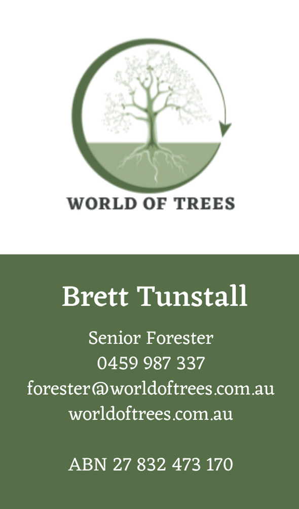 World of Trees |  | 21 Atlantis Blvd, Agnes Water QLD 4677, Australia | 0459987337 OR +61 459 987 337