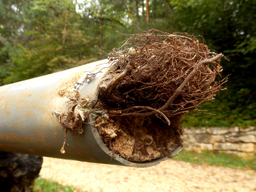 Blocked Drain Bros Melbourne | 1 Daphne Walk, Clyde VIC 3978, Australia | Phone: 0450 663 420