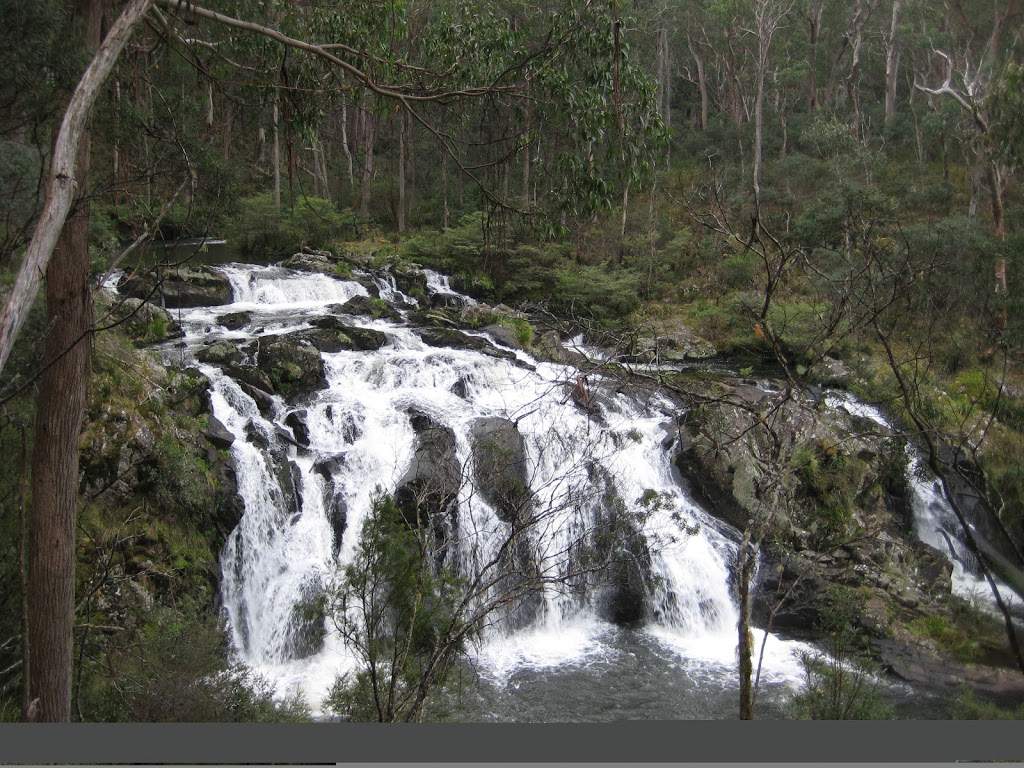 Dilgry River Camping Area | campground | Dilgry Cir, Barrington Tops NSW 2422, Australia