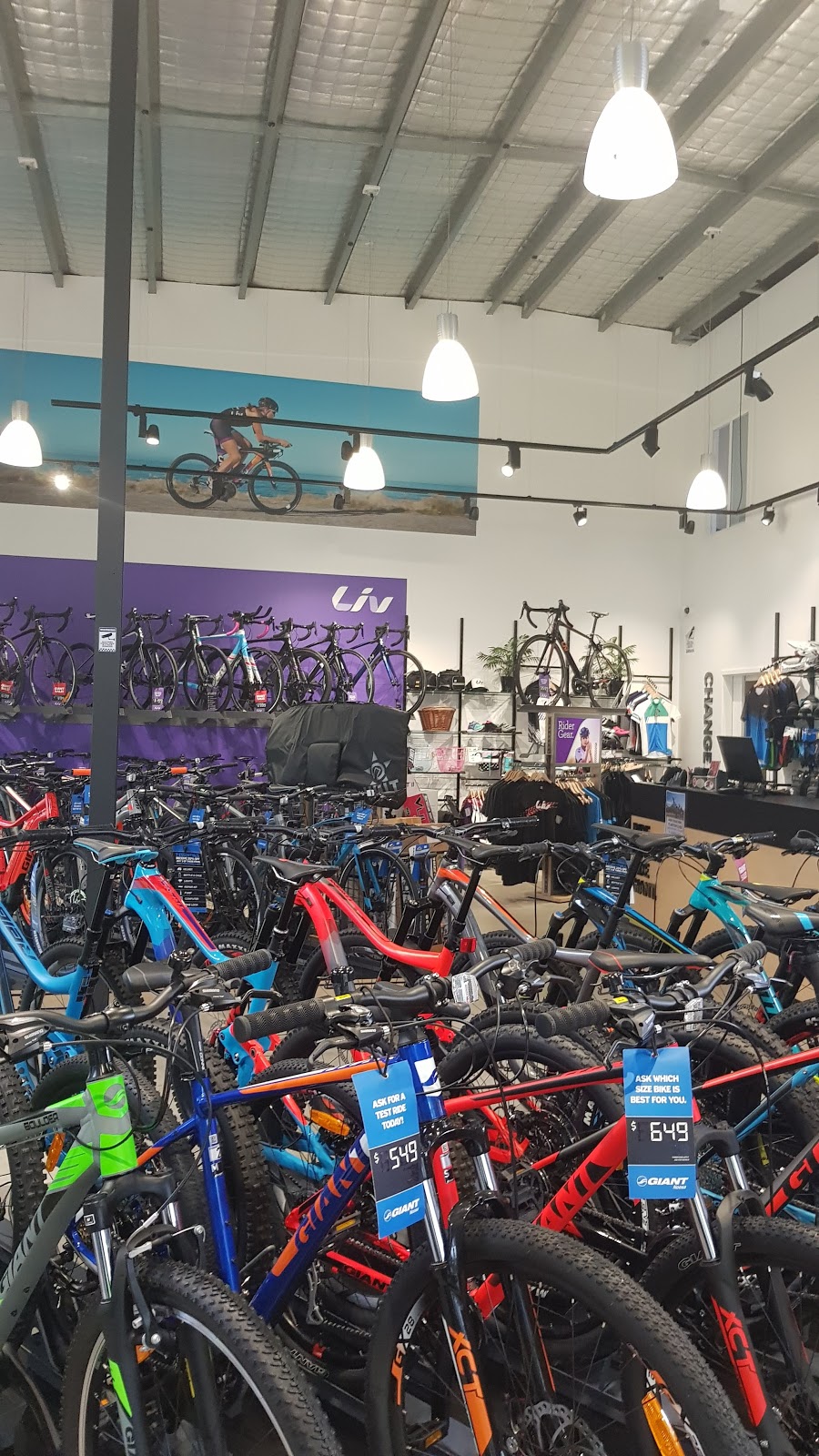 Giant Noosa | bicycle store | Unit 1-2/1 Rene St, Noosaville QLD 4566, Australia | 0754741760 OR +61 7 5474 1760