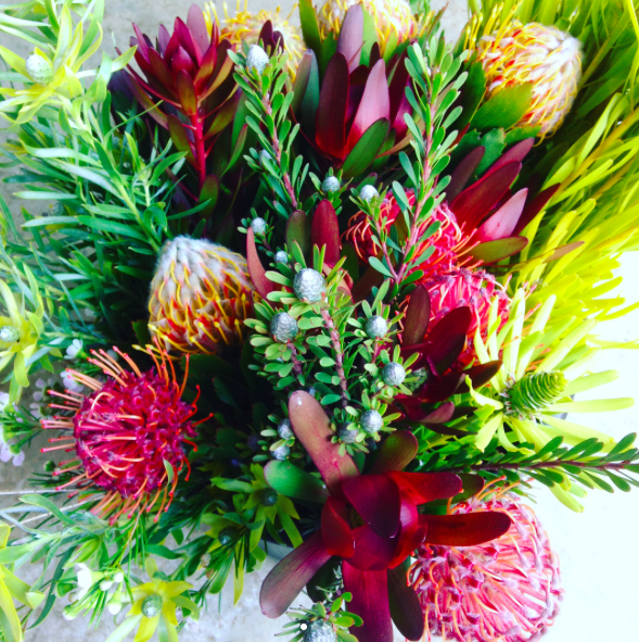 Honey Bee Blooms | florist | 57 Tanahmerah Rd, Balhannah SA 5242, Australia | 0477933916 OR +61 477 933 916