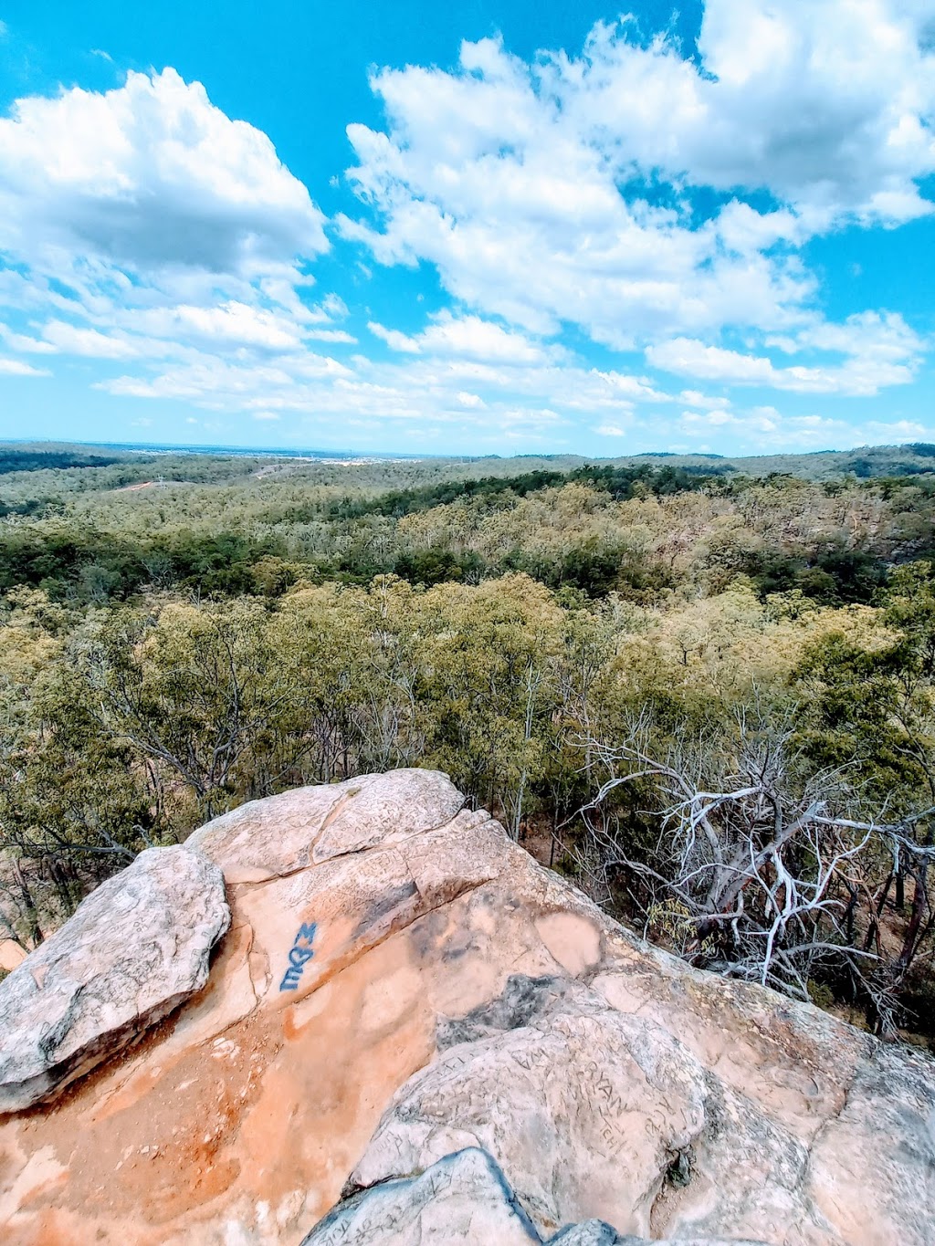 Paperbark Flats Picnic Area | 265-317 School Rd, Redbank Plains QLD 4301, Australia | Phone: (07) 3810 6666