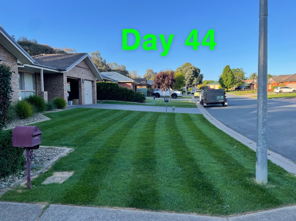 Beyond The Mow | 24 Stockman Cct, Thurgoona NSW 2640, Australia | Phone: 0410 241 950