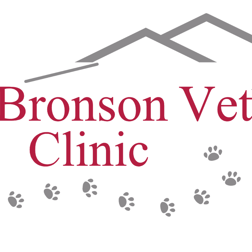 Bronson Veterinary Clinic | veterinary care | 35A Walker St, Bundaberg Central QLD 4670, Australia | 0741523255 OR +61 7 4152 3255