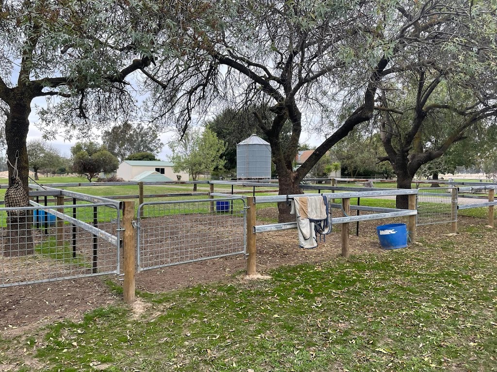 Jason McInnes Atomic Horsemanship | 35 Commercial Rd, Benalla VIC 3672, Australia | Phone: 0400 505 561 Jason McInnes Atomic Horsemanship | 35 Commercial Rd, Benalla VIC 3672, Australia | Phone: 0400 505 561