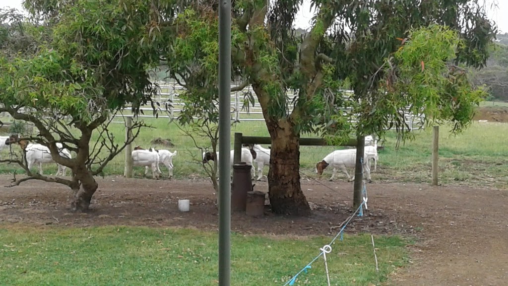 Sea Glimpse Farmstay | lodging | 393 Curdievale-Port Campbell Rd, Port Campbell VIC 3269, Australia