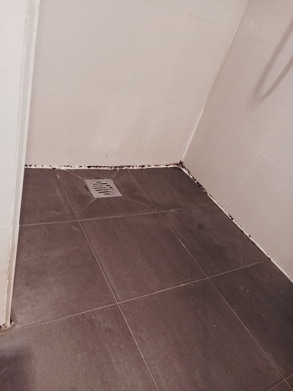 Pelikan Cleaning Services | 13 Royal Rd, Bonbeach VIC 3196, Australia | Phone: 0490 725 579