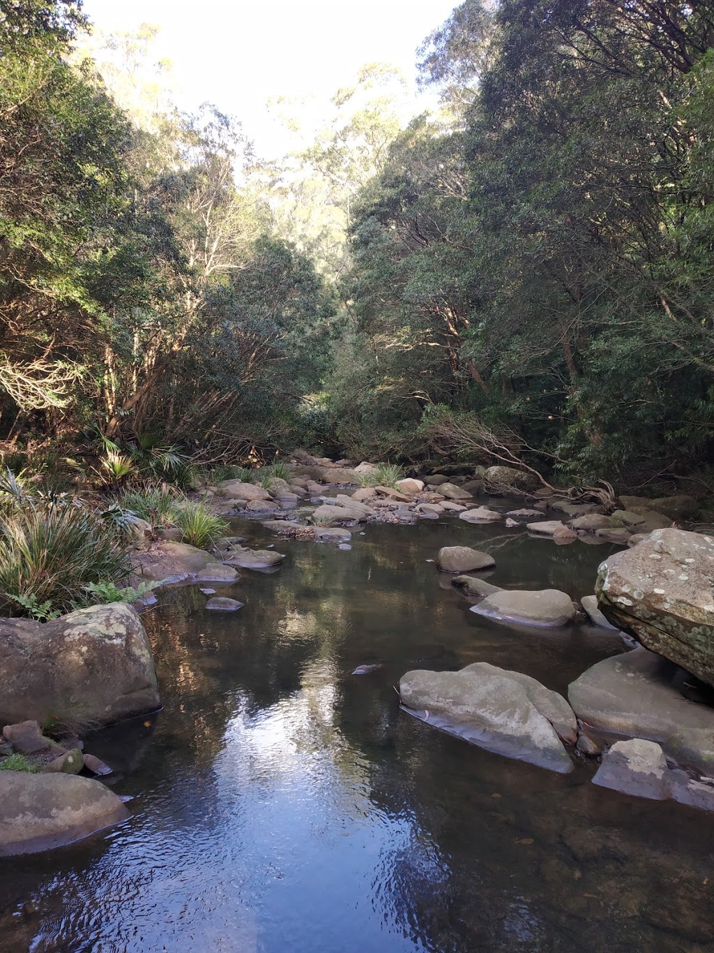 Red Cedar Flats Picnic Area |  | Lady Wakehurst Dr, Lilyvale NSW 2508, Australia | 0295420648 OR +61 2 9542 0648