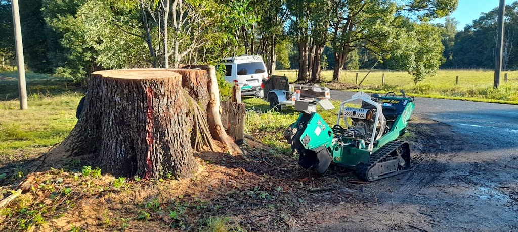 Pulp Stump Grinding | 85 Phillip St, Chinderah NSW 2487, Australia | Phone: 0457 164 338