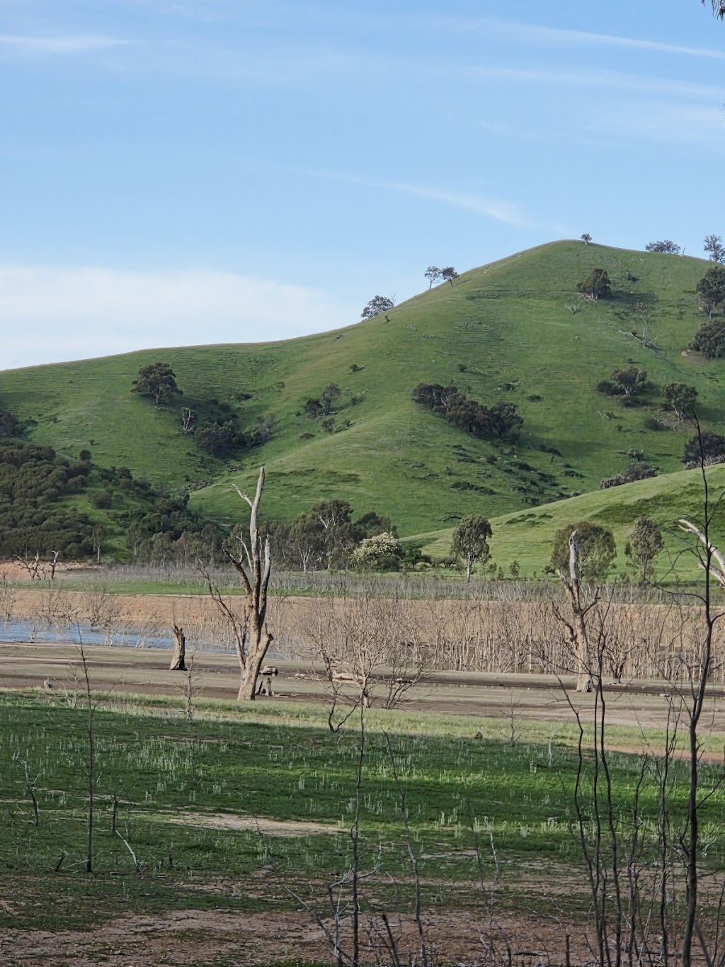 Roćknia | Lake Eildon VIC 3713, Australia | Phone: 0493 774 181