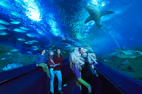 AQWA The Aquarium Of Western Australia | aquarium | 91 Southside Dr, Hillarys WA 6025, Australia | 0894477500 OR +61 8 9447 7500