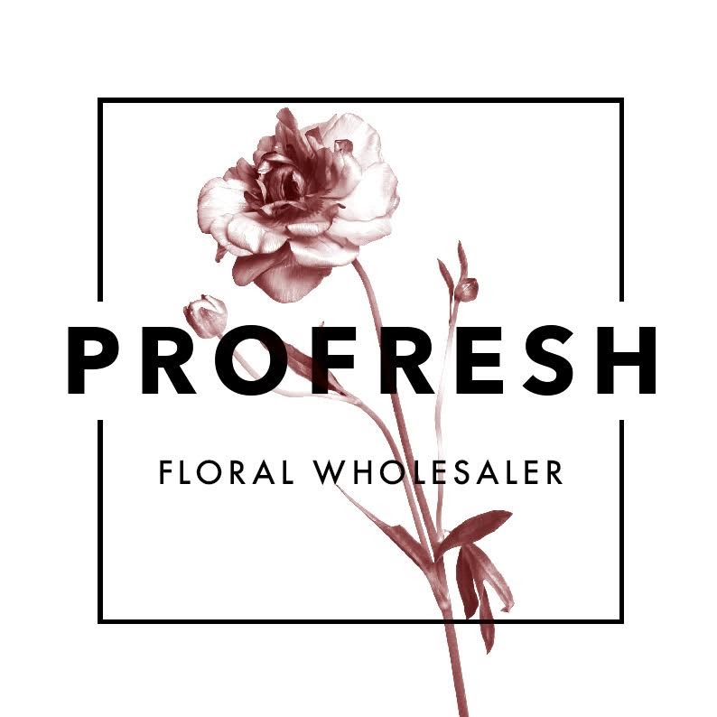 Profresh Floral Wholesaler | 17 Northwood St, West Leederville WA 6007, Australia | Phone: 1300 776 373