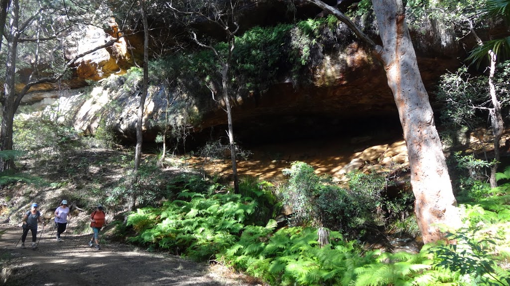 Pearl Caves | park | Pearl Beach Patonga Firetrail, Pearl Beach NSW 2256, Australia
