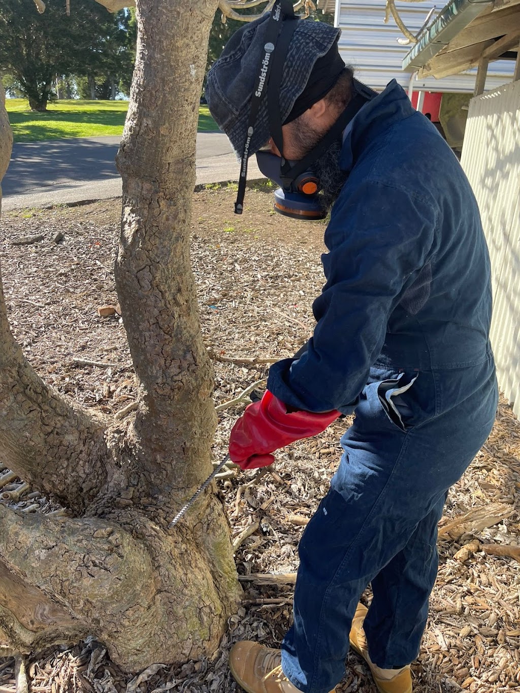 Get Rid of Pests | 6A Worrikul Ave, Fletcher NSW 2287, Australia | Phone: 0420 673 000