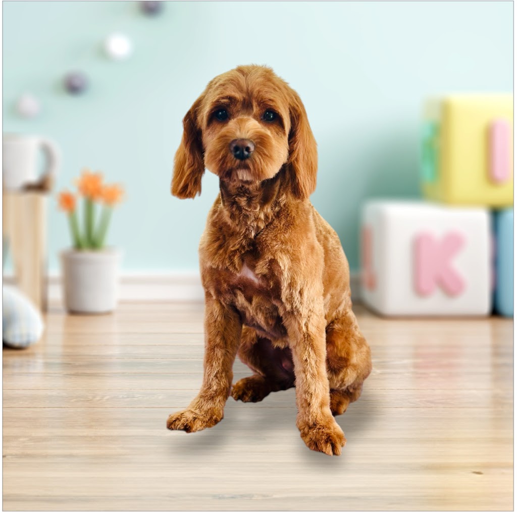 Paws Spas | 1 Medlar Ave, Manor Lakes VIC 3024, Australia | Phone: 0419 561 599