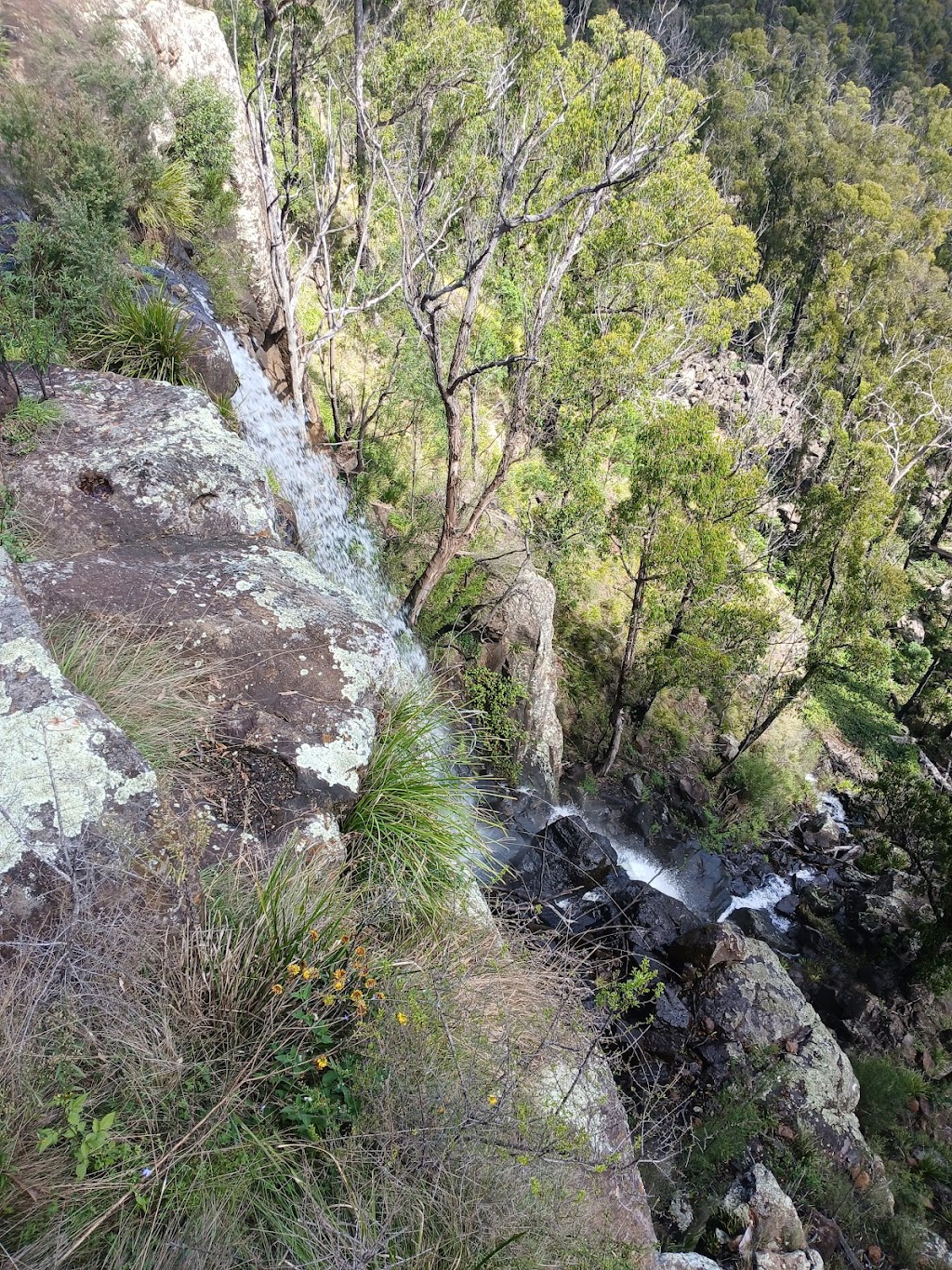 Upper Falls loop walk | Ebor Walking Track, Ebor NSW 2453, Australia | Phone: 1300 072 757