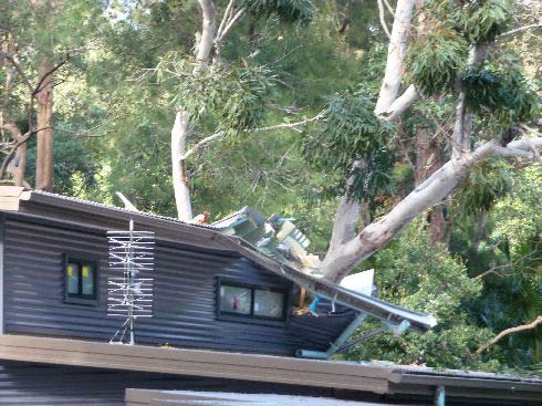 John Henry Tree Services | 15 Kookie Ave, Pacific Palms NSW 2428, Australia | Phone: 0428 960 259