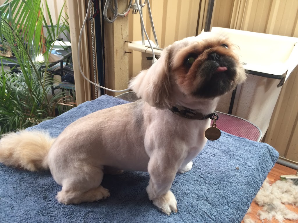 Lukame Grooming | 59 Saw Ave, Rockingham WA 6168, Australia | Phone: 0403 585 544