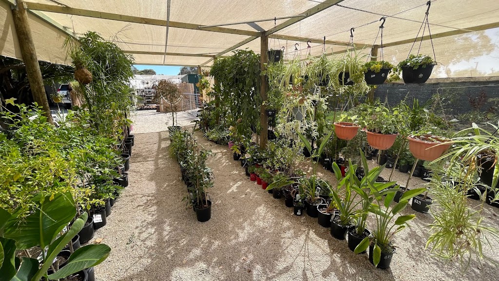 D&B’S PLANTS | 30-32 Dillon St, Ultima VIC 3544, Australia | Phone: 0457 547 081