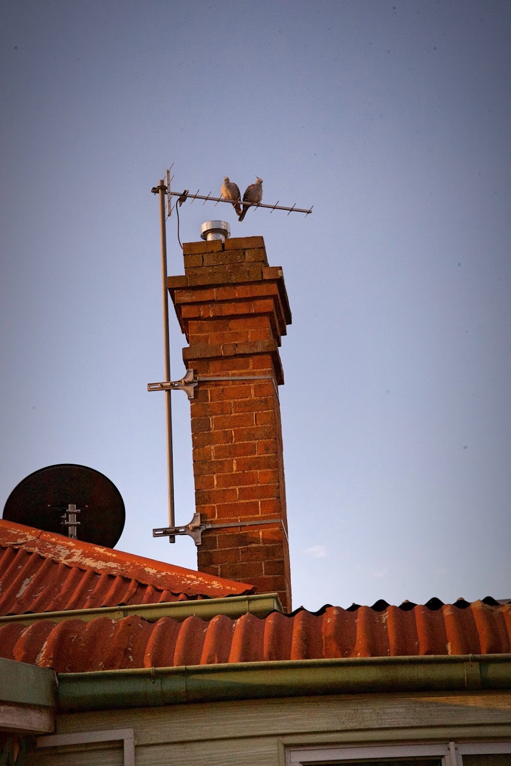 Woodies Cottage | 56 MacKay St, Cootamundra NSW 2590, Australia | Phone: 0419 234 417