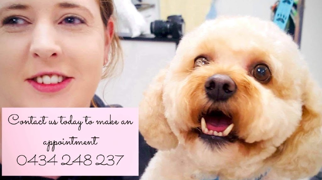 E.Ms dog Grooming | Unit 1/26 Clarence Rd, Wantirna VIC 3152, Australia | Phone: 0434 248 237