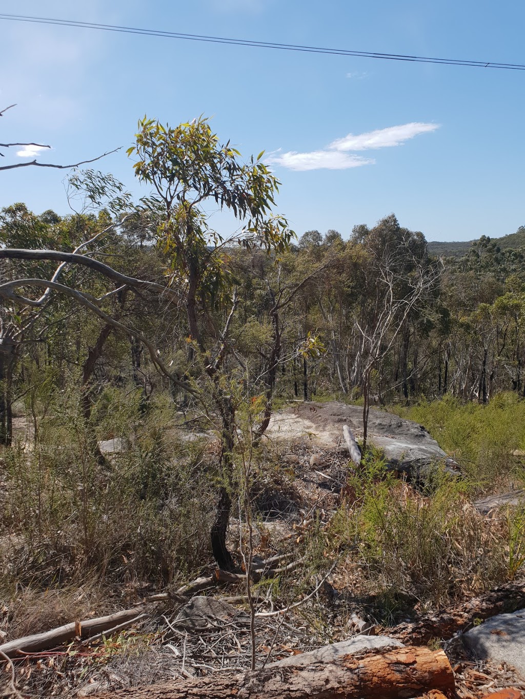 Lamberts Clearing | St. Ives NSW 2075, Australia