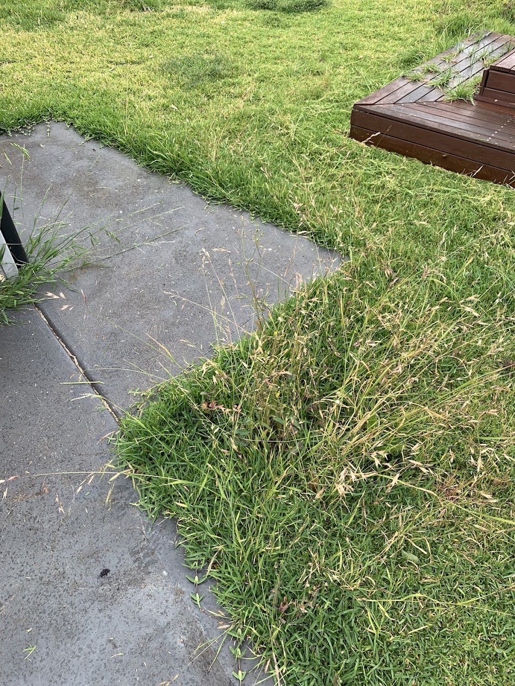 Quality property maintenance Sydney | Mulgoa Rd, Mulgoa NSW 2745, Australia | Phone: 0452 621 181