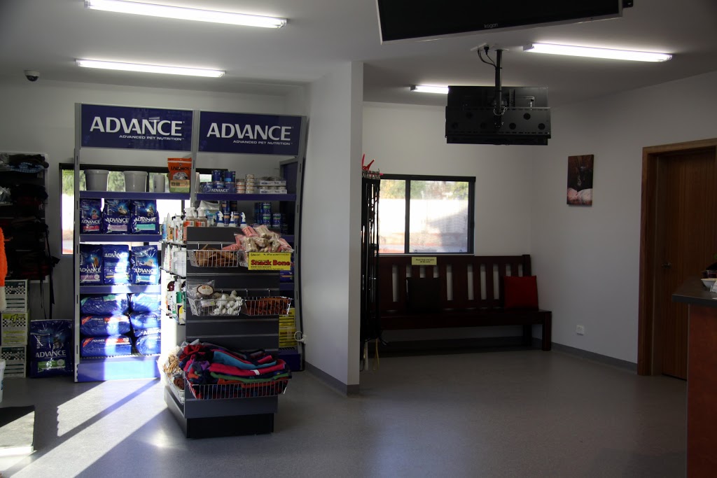 Adelaide Plains Veterinary Surgery | veterinary care | 6 Gawler Rd, Two Wells SA 5501, Australia | 0885203600 OR +61 8 8520 3600