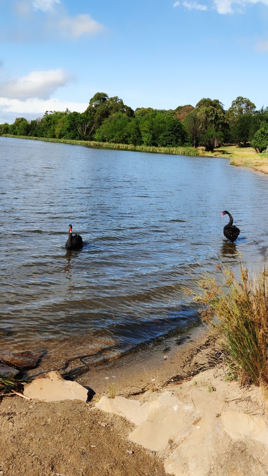 Yarralumla Beach | Yarralumla ACT 2600, Australia | Phone: (02) 6271 2888