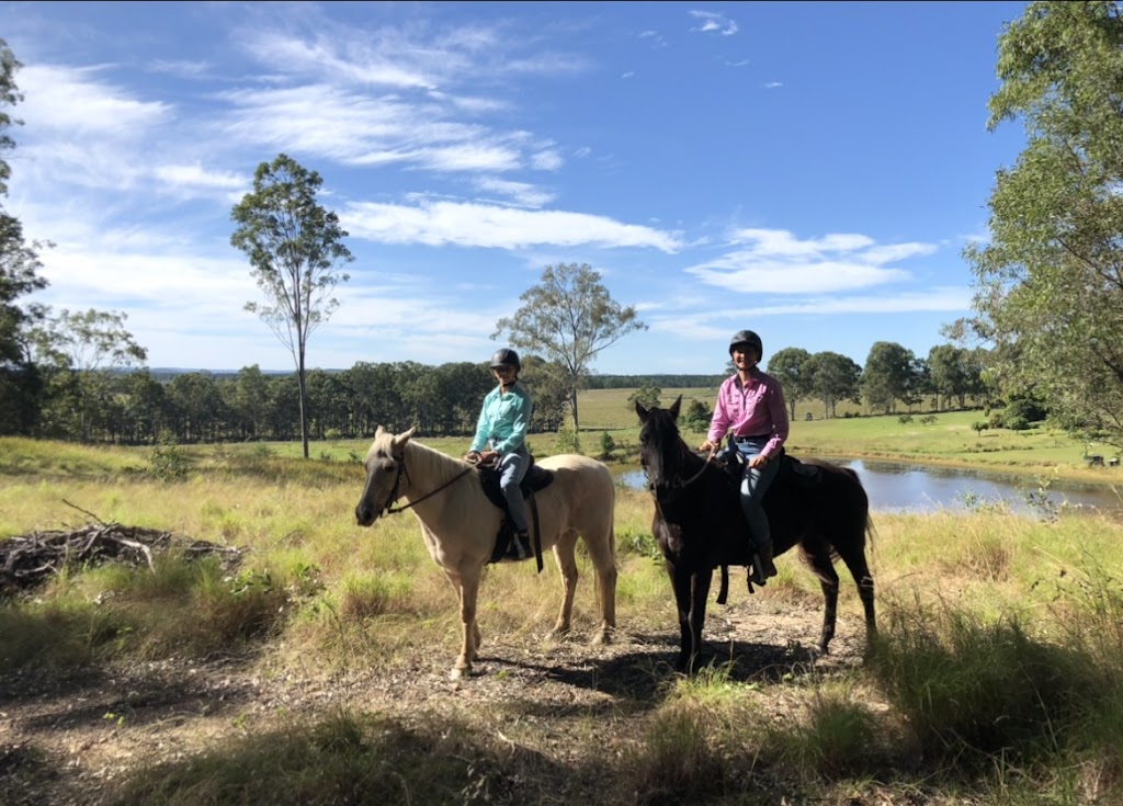 Horses With Holly |  | 571 Counter Road, Wolvi QLD 4570, Australia | 0402018994 OR +61 402 018 994