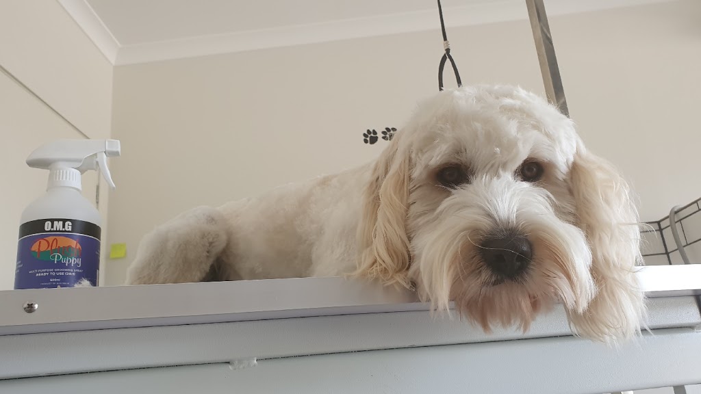 Absolute PAWfection Dog Grooming | 11 Higgins St, Plumpton VIC 3335, Australia | Phone: 0415 423 822