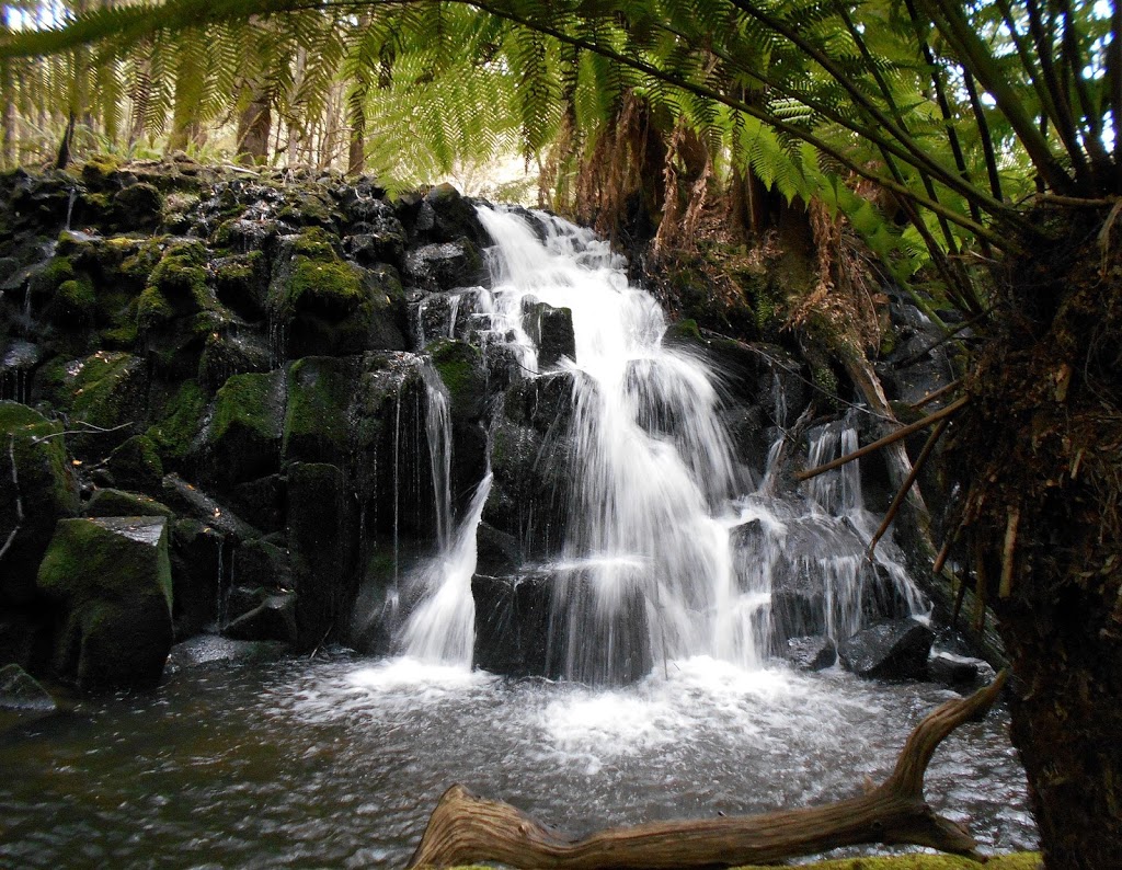 Upper Cam Falls | park | Lockwood Creek Rd, Hampshire TAS 7321, Australia