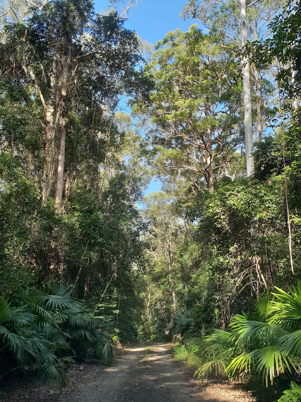 Wallingat National Park | park | Wallingat NSW 2428, Australia