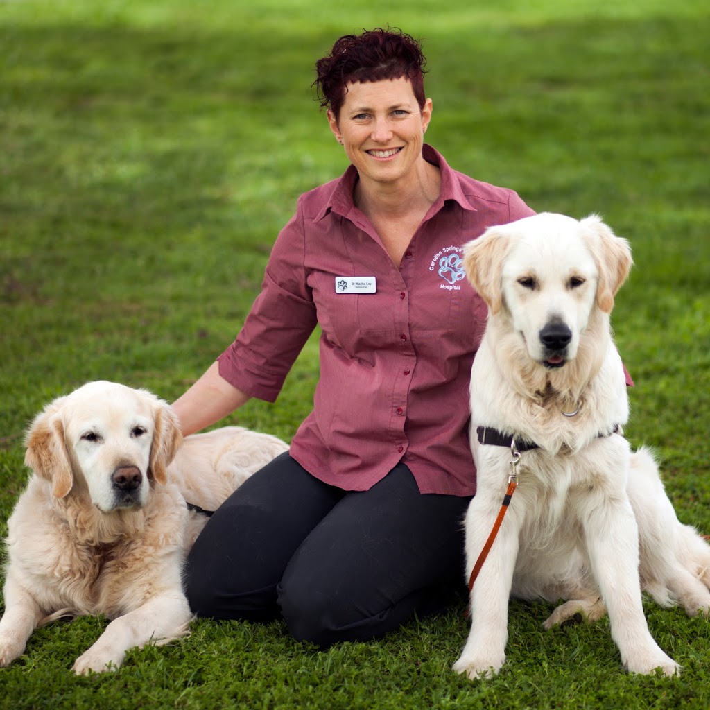 Caroline Springs Veterinary Hospital | veterinary care | 225-227 Caroline Springs Blvd, Caroline Springs VIC 3023, Australia | 0383902266 OR +61 3 8390 2266