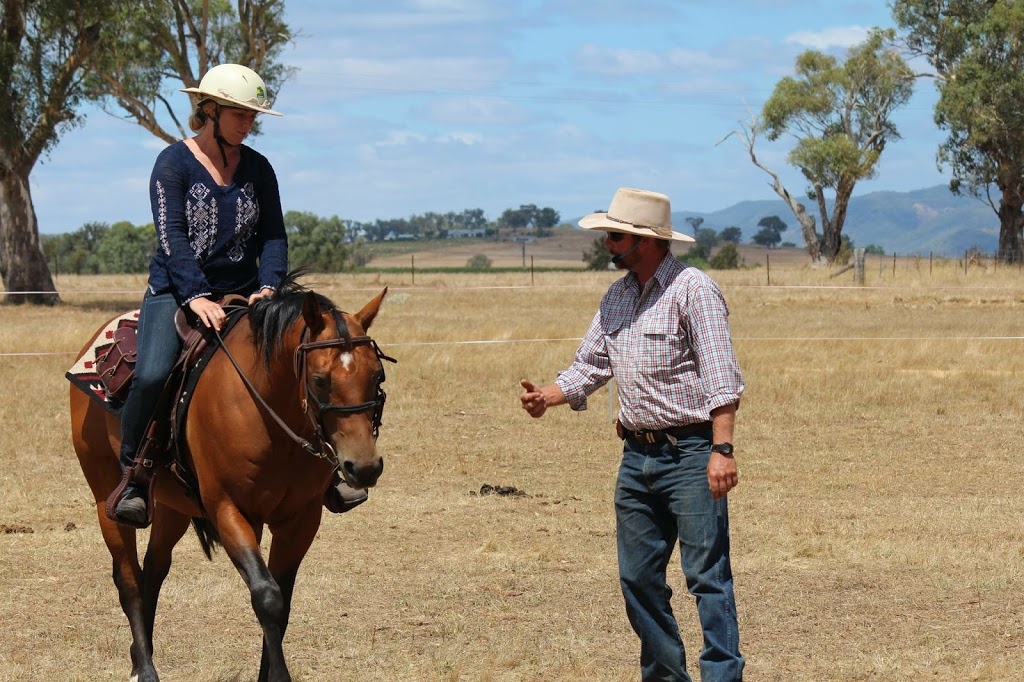 Equine Ability | 1671 Lower Piambong Rd, Piambong NSW 2850, Australia | Phone: 0417 200 411