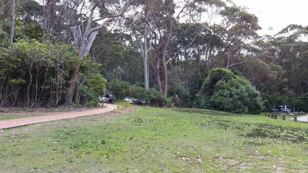 Pebbly Beach Campground | Pebbly Beach Access Rd, East Lynne NSW 2536, Australia | Phone: (02) 4478 6582