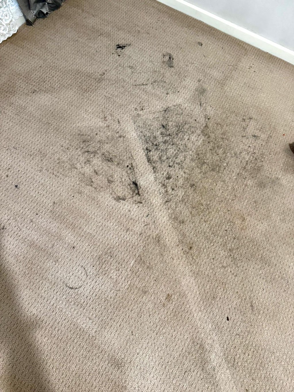 Ozzy Carpet Cleaning | 22 Gibson Way, Maddingley VIC 3340, Australia | Phone: 0406 852 749