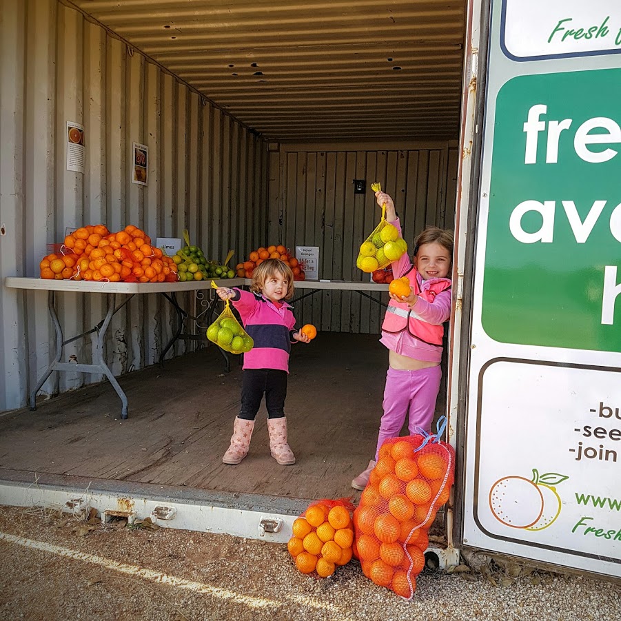 The Arnolds Orchard & Fruit Stall | store | 2743 Kingston Rd, Pyap SA 5333, Australia | 0885849174 OR +61 8 8584 9174