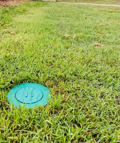 HJT Pest Control | 176 Cessnock Rd, Neath NSW 2326, Australia | Phone: 0474 587 323