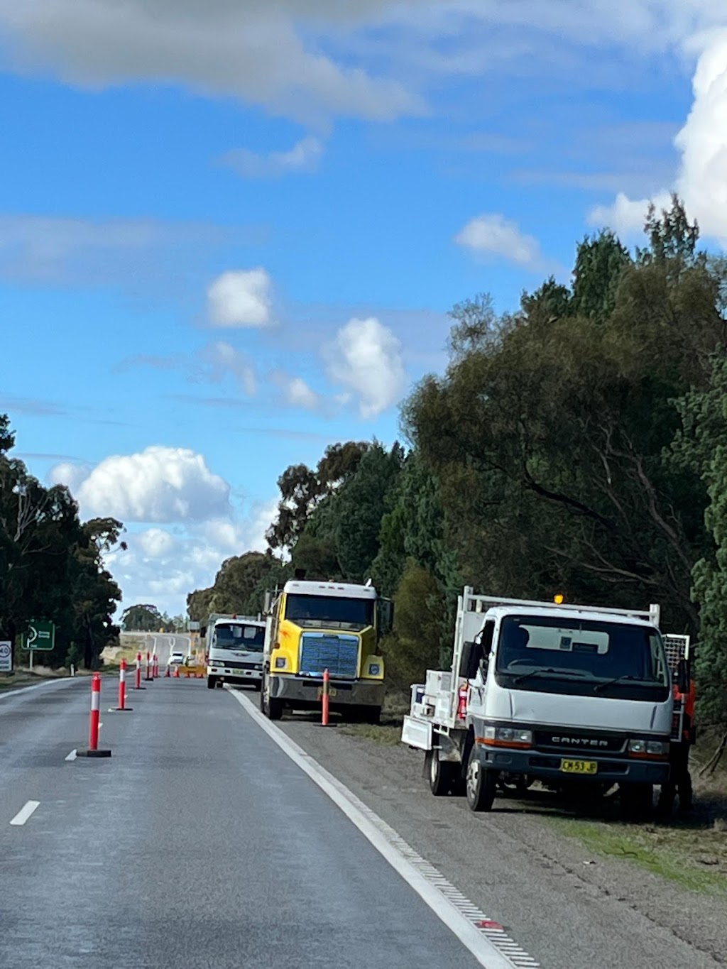 Riverina Tree Services | 17 Red Gum Dr, Leeton NSW 2705, Australia | Phone: 0427 536 709