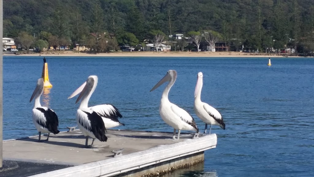 Tally Boat Ramp | park | 12 Murlong Cres, Palm Beach QLD 4221, Australia