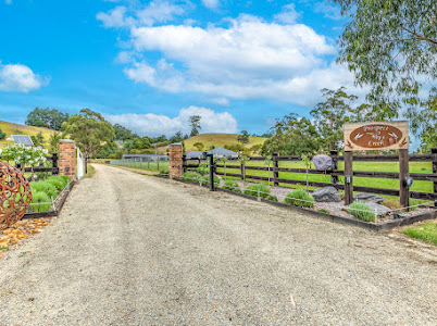 Prospect Creek country accommodation | 23 Peters Rd, Ellinbank VIC 3820, Australia | Phone: 0439 978 892