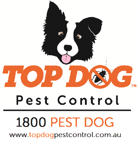 Top Dog Pest Control | home goods store | 8 Burrendong Rd, Coombabah QLD 4216, Australia | 1800737836 OR +61 1800 737 836